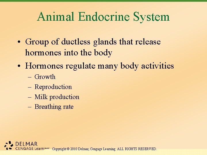 Animal Endocrine System • Group of ductless glands that release hormones into the body