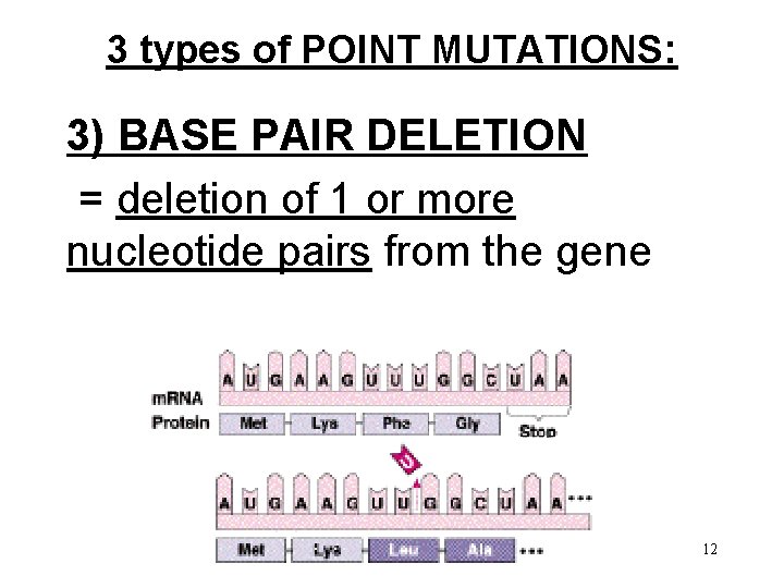 3 types of POINT MUTATIONS: 3) BASE PAIR DELETION = deletion of 1 or