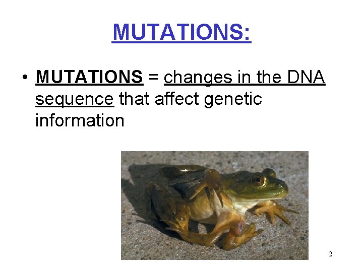 MUTATIONS: • MUTATIONS = changes in the DNA sequence that affect genetic information 2