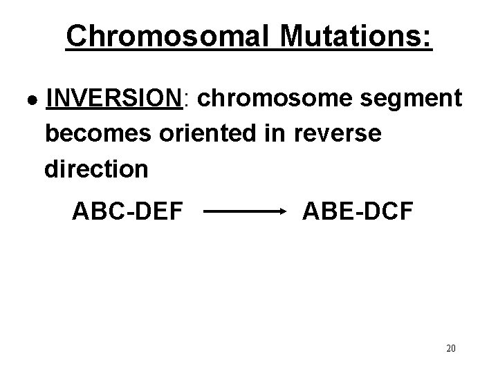 Chromosomal Mutations: ● INVERSION: chromosome segment becomes oriented in reverse direction ABC-DEF ABE-DCF 20