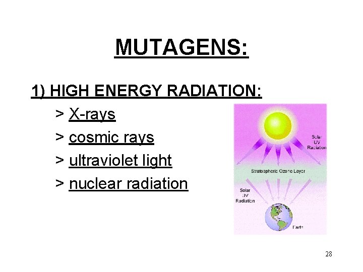 MUTAGENS: 1) HIGH ENERGY RADIATION: > X-rays > cosmic rays > ultraviolet light >