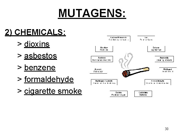 MUTAGENS: 2) CHEMICALS: > dioxins > asbestos > benzene > formaldehyde > cigarette smoke