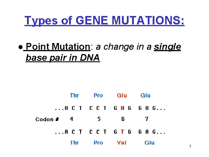 Types of GENE MUTATIONS: ● Point Mutation: a change in a single base pair