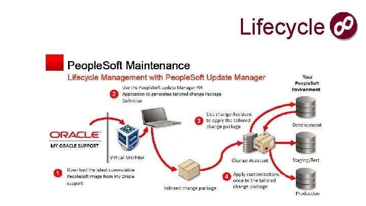 Lifecycle 