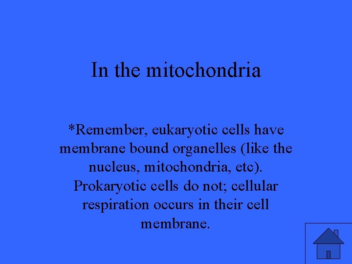 In the mitochondria *Remember, eukaryotic cells have membrane bound organelles (like the nucleus, mitochondria,