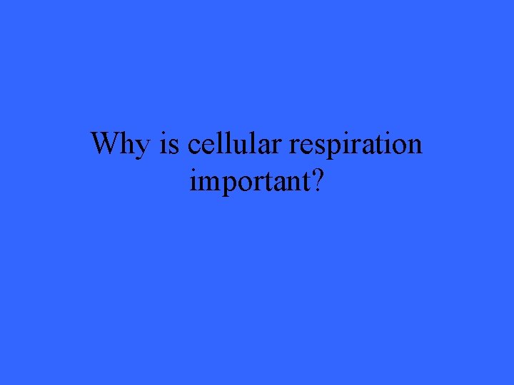 Why is cellular respiration important? 