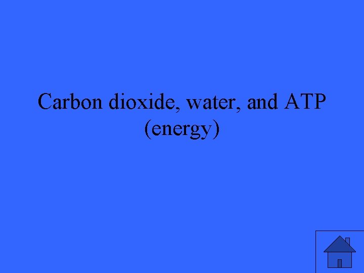 Carbon dioxide, water, and ATP (energy) 