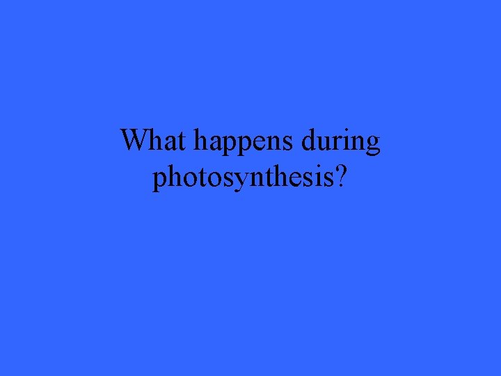 What happens during photosynthesis? 