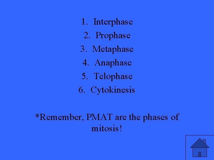 1. Interphase 2. Prophase 3. Metaphase 4. Anaphase 5. Telophase 6. Cytokinesis *Remember, PMAT