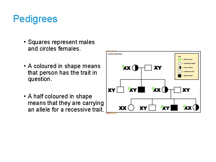 Pedigrees • Squares represent males and circles females. • A coloured in shape means