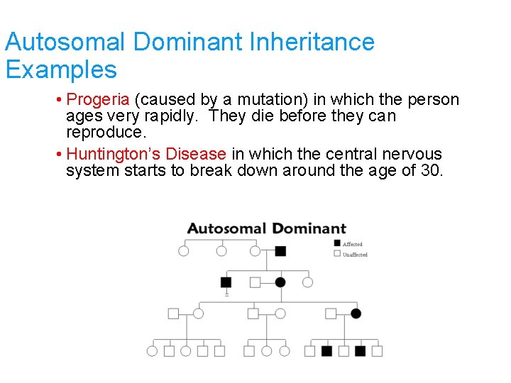 Autosomal Dominant Inheritance Examples • Progeria (caused by a mutation) in which the person