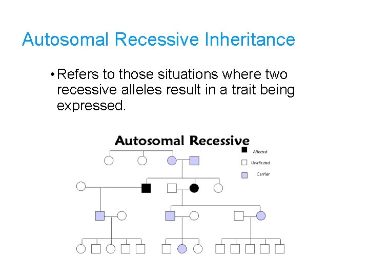 Autosomal Recessive Inheritance • Refers to those situations where two recessive alleles result in