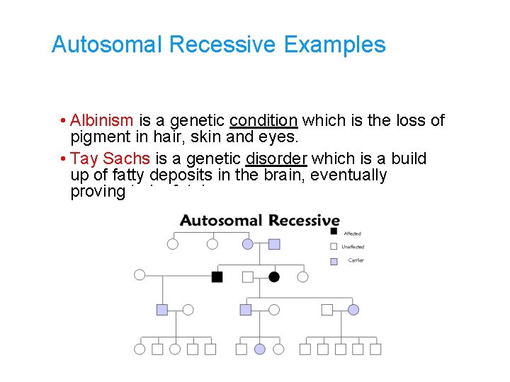 Autosomal Recessive Examples • Albinism is a genetic condition which is the loss of
