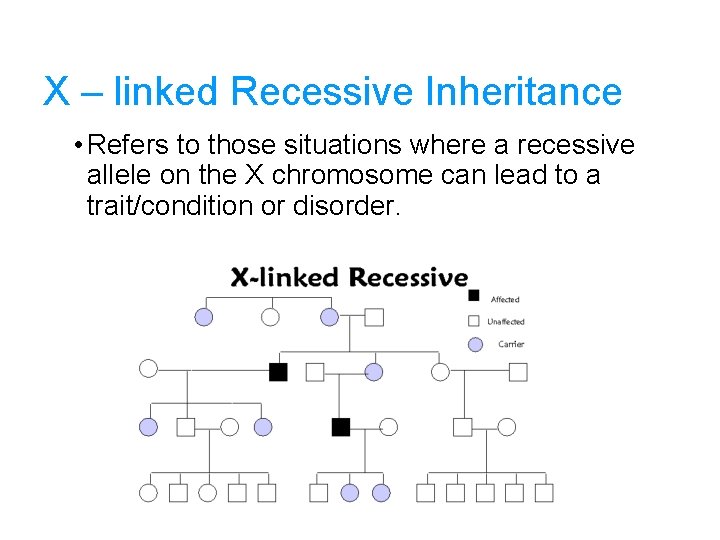 X – linked Recessive Inheritance • Refers to those situations where a recessive allele