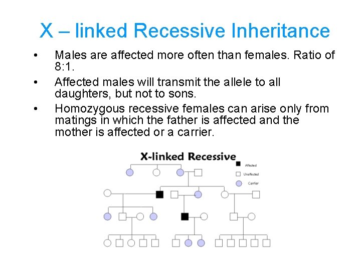 X – linked Recessive Inheritance • • • Males are affected more often than