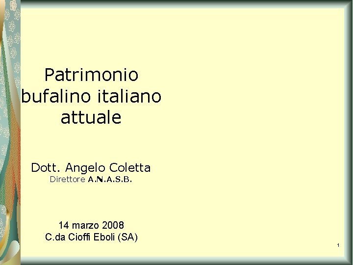 Patrimonio bufalino italiano attuale Dott. Angelo Coletta Direttore A. N. A. S. B. 14