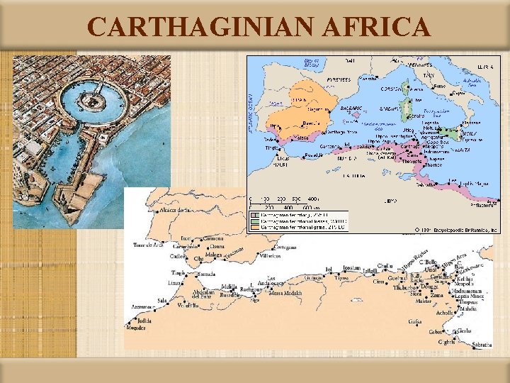 CARTHAGINIAN AFRICA 