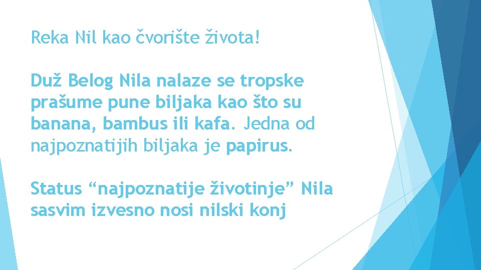 Reka Nil kao čvorište života! Duž Belog Nila nalaze se tropske prašume pune biljaka