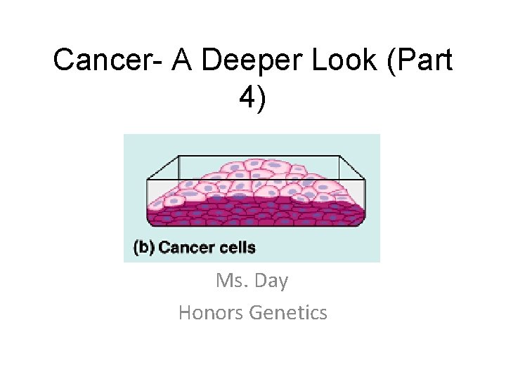 Cancer- A Deeper Look (Part 4) Ms. Day Honors Genetics 