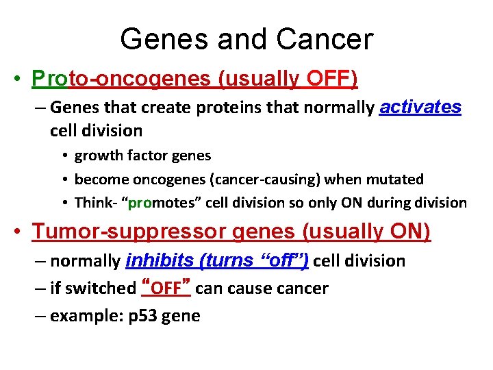 Genes and Cancer • Proto-oncogenes (usually OFF) – Genes that create proteins that normally