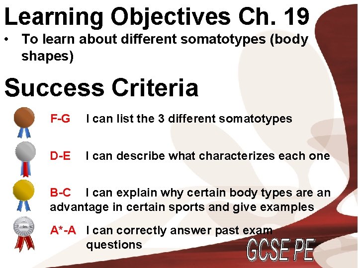 Learning Objectives Ch. 19 • To learn about different somatotypes (body shapes) Success Criteria