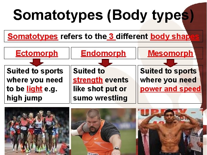 Somatotypes (Body types) Somatotypes refers to the 3 different body shapes Ectomorph Suited to