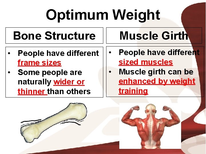 Optimum Weight Bone Structure Muscle Girth • People have different frame sizes • Some
