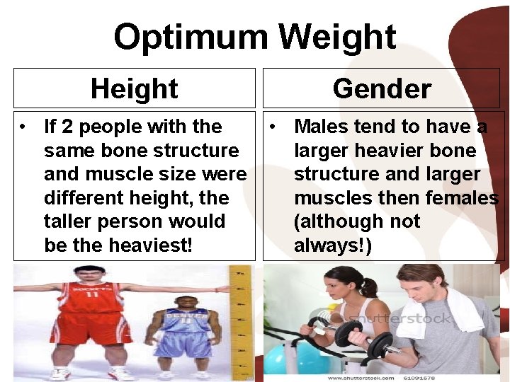 Optimum Weight Height Gender • If 2 people with the same bone structure and