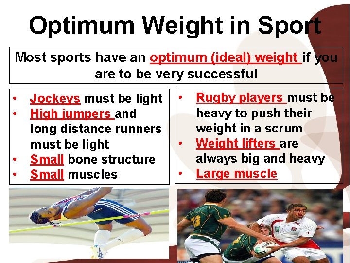 Optimum Weight in Sport Most sports have an optimum (ideal) weight if you are