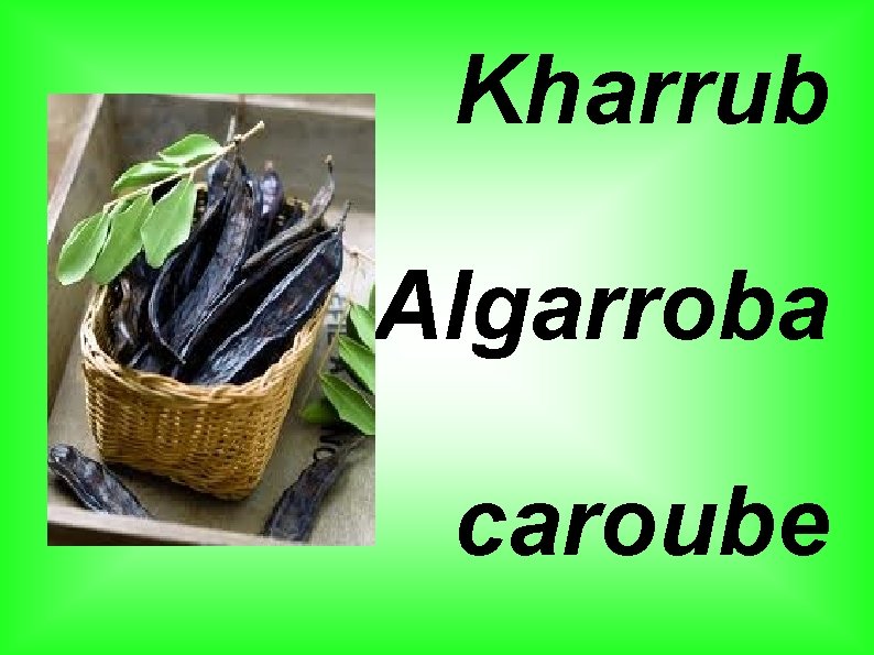 Kharrub Algarroba caroube 