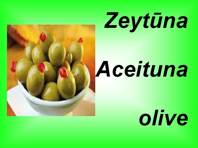 Zeytūna Aceituna olive 