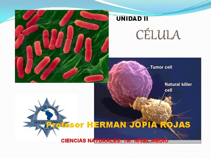 UNIDAD II CÉLULA Profesor HERMAN JOPIA ROJAS CIENCIAS NATURALES: 1 er. NIVEL MEDIO 