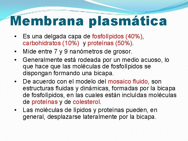 Membrana plasmática • • • Es una delgada capa de fosfolípidos (40%), carbohidratos (10%)