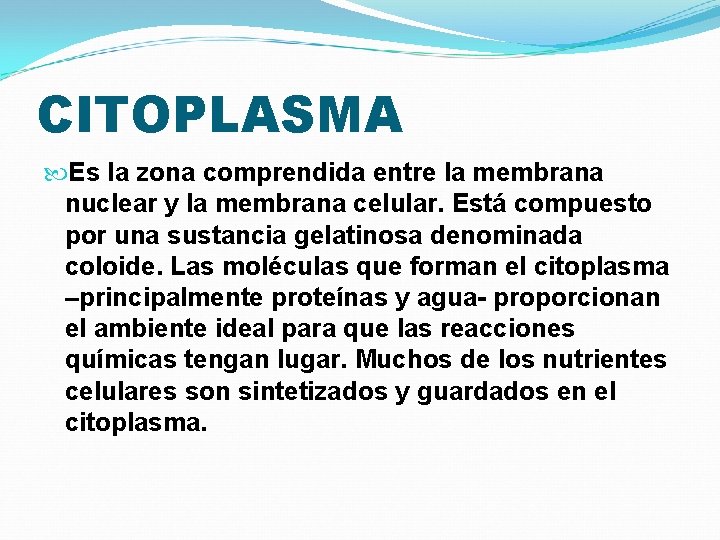 CITOPLASMA Es la zona comprendida entre la membrana nuclear y la membrana celular. Está