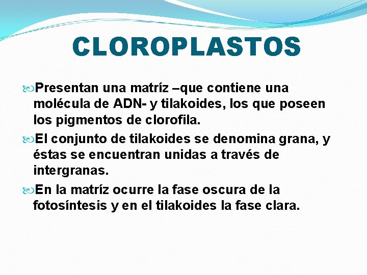 CLOROPLASTOS Presentan una matríz –que contiene una molécula de ADN- y tilakoides, los que