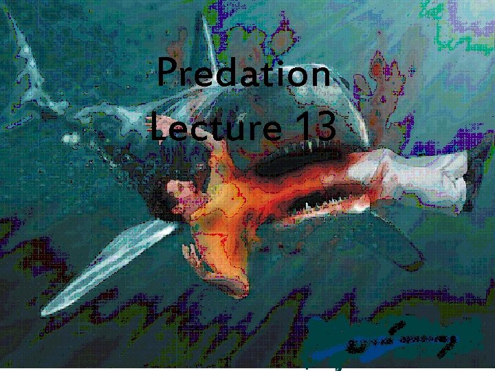 Predation Lecture 13 