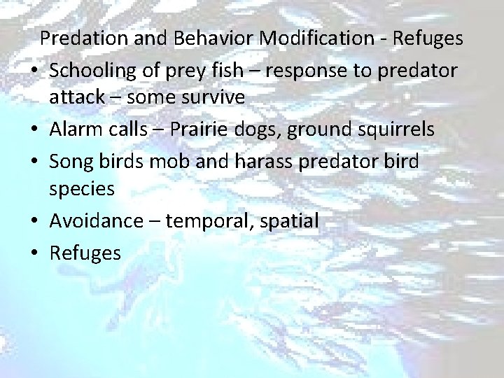 Predation and Behavior Modification - Refuges • Schooling of prey fish – response to