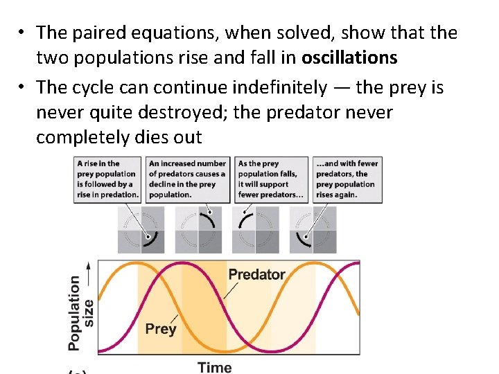  • The paired equations, when solved, show that the two populations rise and