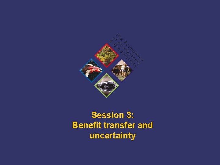 Session 3: Benefit transfer and uncertainty TEEB Training 