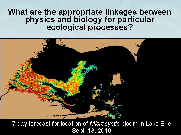 What are the appropriate linkages between physics and biology for particular ecological processes? Click