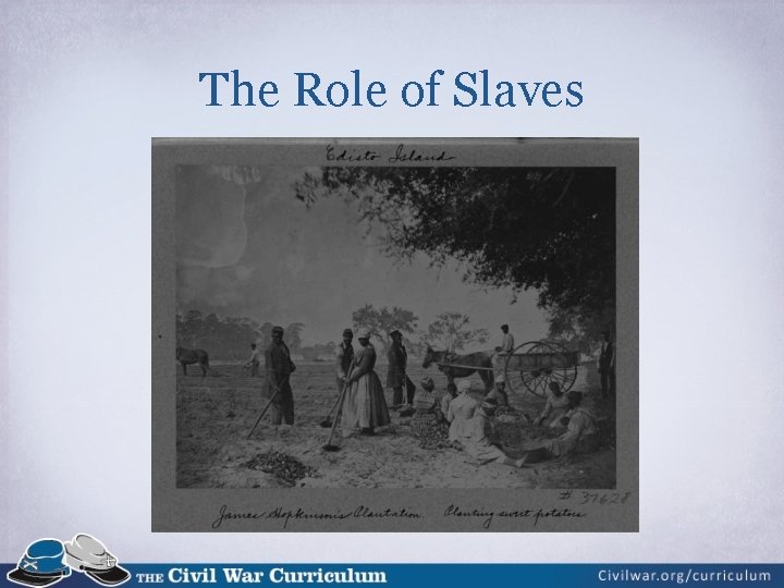 The Role of Slaves 