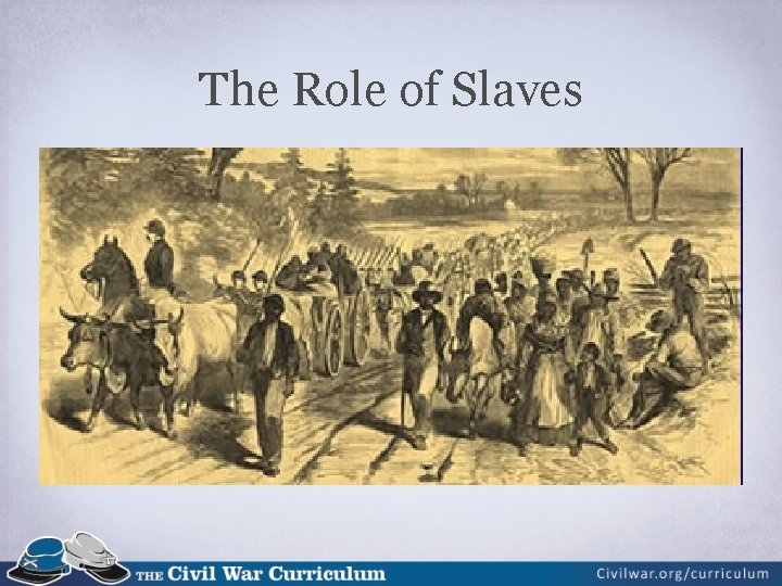 The Role of Slaves 