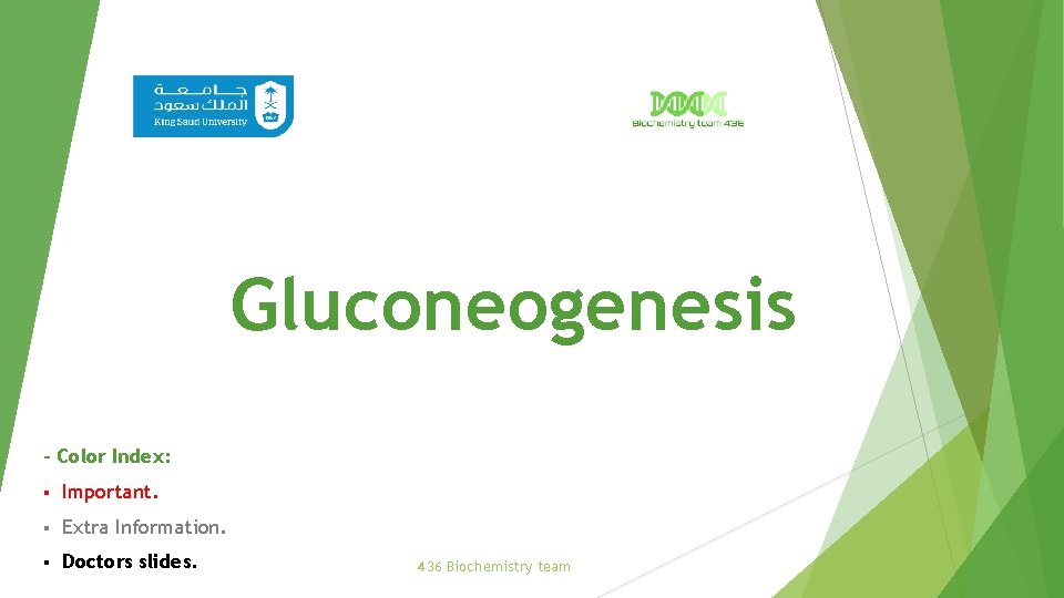 Gluconeogenesis – Color Index: § Important. § Extra Information. § Doctors slides. 436 Biochemistry