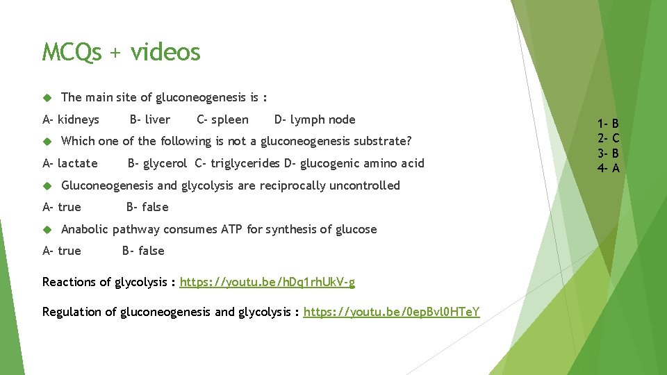 MCQs + videos The main site of gluconeogenesis is : A- kidneys D- lymph