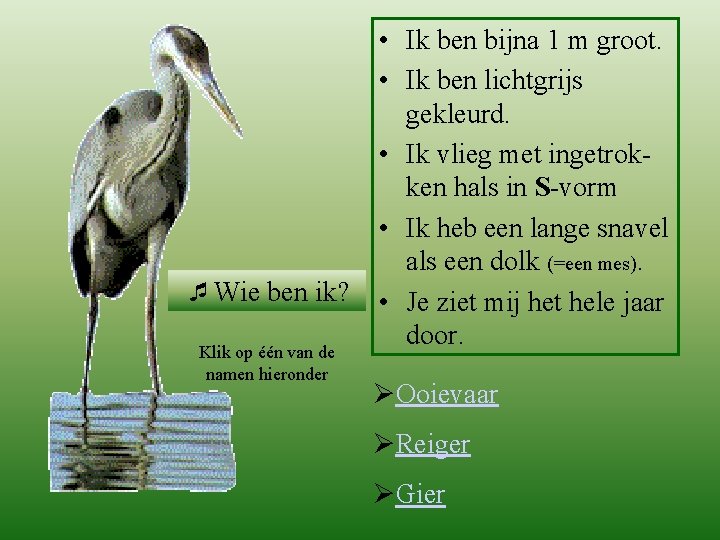 reiger ¯Wie ben ik? Klik op één van de namen hieronder • Ik ben