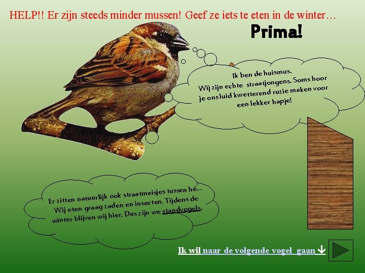 HELP!! Er zijn steeds minder mussen! Geef ze iets te eten in de winter…