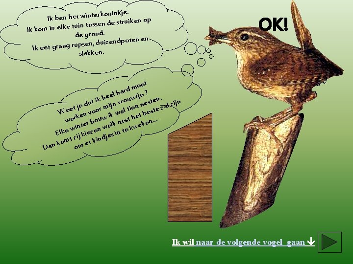 rkoninkje. Ik ben het winte de struiken op n e ss tu in tu