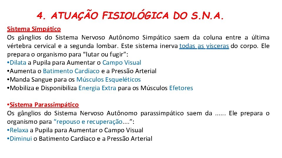 4. ATUAÇÃO FISIOLÓGICA DO S. N. A. Sistema Simpático Os gânglios do Sistema Nervoso