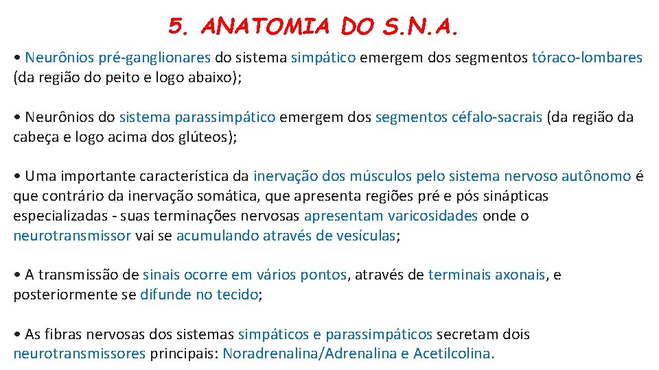 5. ANATOMIA DO S. N. A. • Neurônios pré-ganglionares do sistema simpático emergem dos