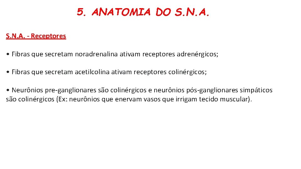 5. ANATOMIA DO S. N. A. - Receptores • Fibras que secretam noradrenalina ativam